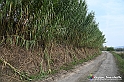 VBS_7645 - Andare lontano, oltre i campi da arare... e ancora più in là